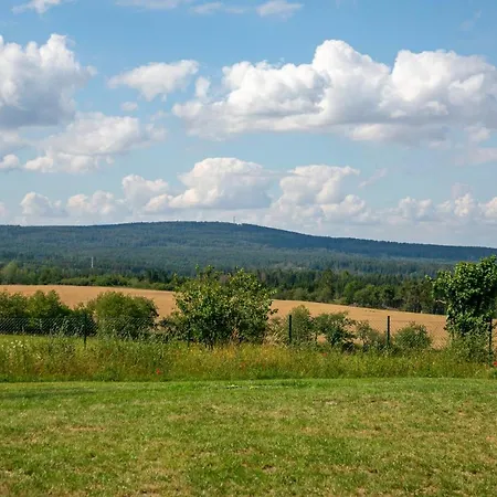Gorgeous Apartment In Harzgerode With Wifi Apartment
